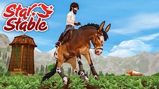 Star Stable - Buying the New Mules!