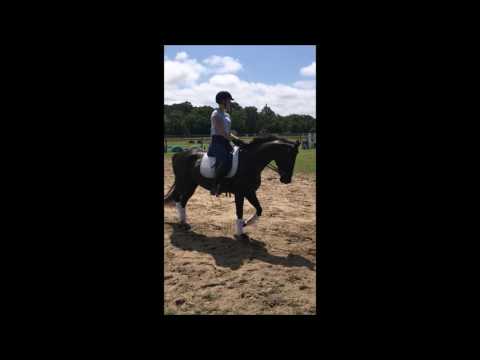 Rose Lateral Dressage