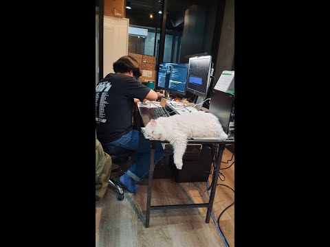 เขียนโปรแกรม nuxt.js [ ยังไม่รู้จะทำระบบอะไร ] ep.1