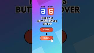 HTML CSS  for Beginners | Pure CSS Button hover  effect No JavaScript #css #html  #htmlcsstutorial