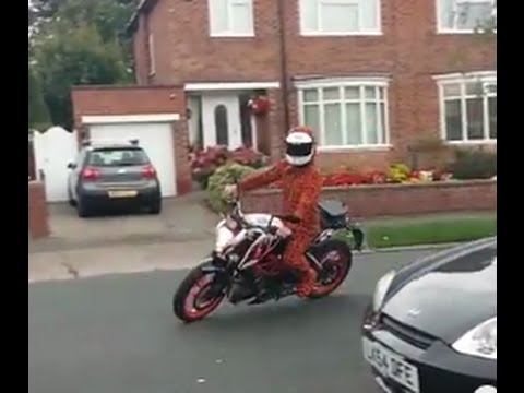 KTM 390 Duke ridden by a tiger