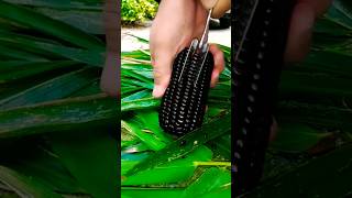 #short #agriculture #agritools#farming2024  #youtubeshorts #EliteShortsUnleashed #1596