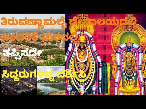 ತಿರುವಣ್ಣಾಮಲೈನಲ್ಲಿ ತಪ್ಪದೇ ನೋಡಬೇಕಾದ ಜಾಗ , ಸಿದ್ದರ ದರ್ಶನ ಭಾಗ್ಯ