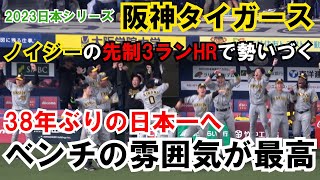 【日本シリーズ2023】【阪神】岡田監督もベンチから出てきた‼ ノイジーのHRで勢いづく ベンチの雰囲気も日本一 現地映像