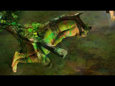 Beyond the Second Gate — The Gates of the Shadowmage