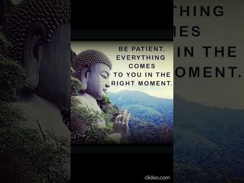 Sunny morning #shortsvideo #shorts #shortsvideo #meditation #meditationmusic #blessings #universe