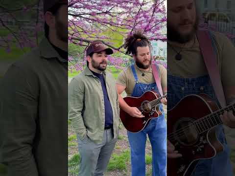 #newmusic #latenightthoughts #oldestiveeverfelt #folkpop