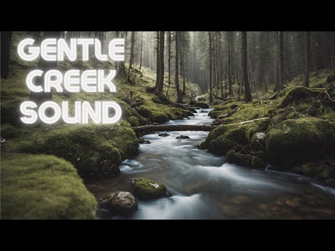 Gentle Creek Sound | Relaxing Stream of Water to Ease Your Sleep