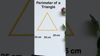 Find Perimeter of Triangle | #shorts #shortvideo #viral #trending #mathsshorts