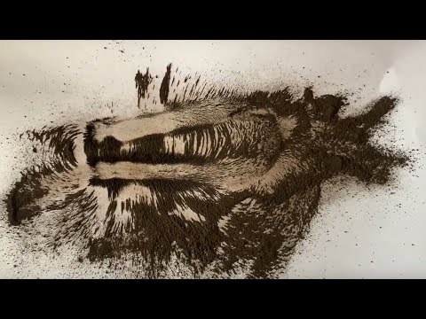 Magical Magnetic Field
