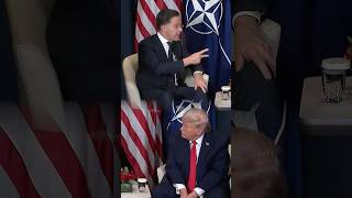 Rutte Tells Trump NATO Will Defend US in Conflict
