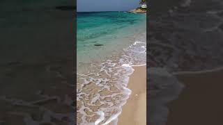 AI Animated Paradise 🌴 Viral Shores: Golden Sands & Turquoise Waves #aianimatedvideos