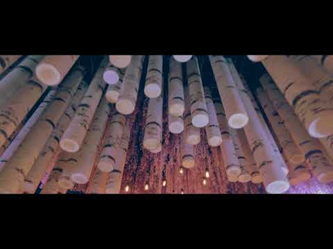 Pastel Forest - Designlab Experience