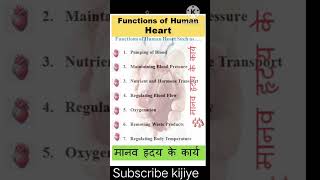 Understanding the Functions and Mechanisms of the Human Heart