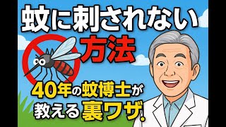 もう刺されない！知らなかった蚊の秘密｜役に立つ情報！#情報チャンネル #豆知識チャンネル #生活情報