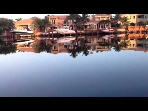 Nature reflecting