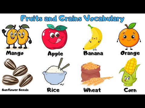 Fruits and Grains Vocabulary for Kids | Learn English Words with Fun #kids #english