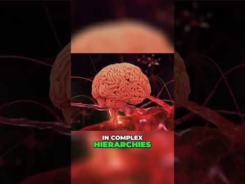 The Cognitive Revolution: Unlocking Human Potential #automation #technology #humanity