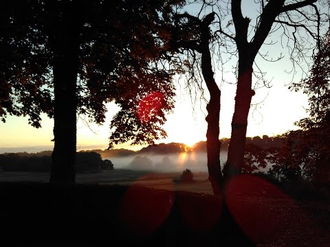 Alveol & Timo Camillo - Sunrise Flying Mojo