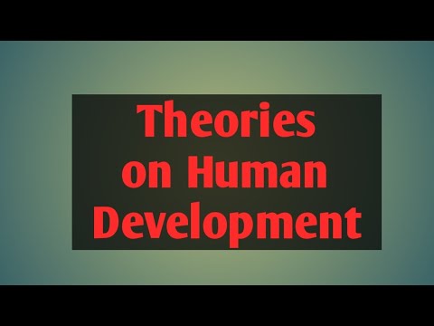 Theories on Human Development #ctet #education