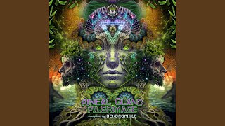 Mystical Journey (Original Mix)