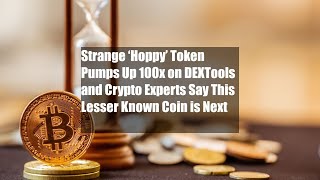 Strange ‘Hoppy’ Token Pumps Up 100x on DEXTools and Crypto Experts Say