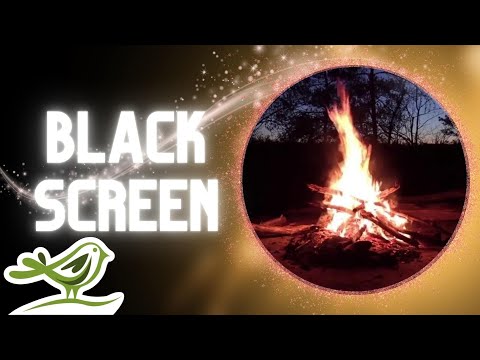 [NO ADS] The Campfire | Fall Asleep to Relaxing Guitar Music & Campfire Sounds by Peder B. Helland