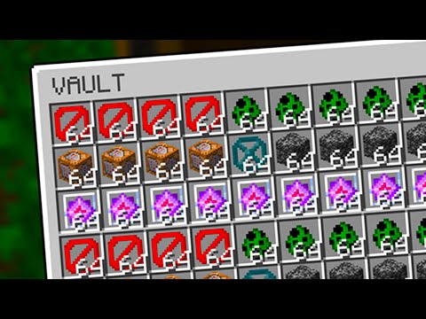 I made an illegal vault in Minecraft…
