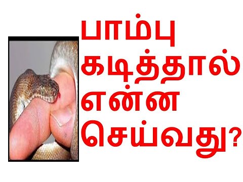 Explain about dangerous snake with live demo