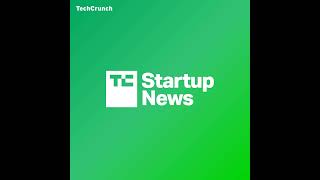 The high costs and thin margins threatening AI coding startups