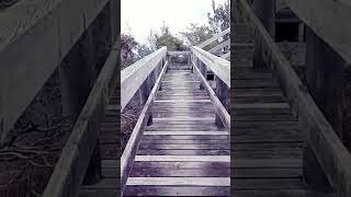 Follow Your Path #shorts #neverstopexploring #path #findyourpath