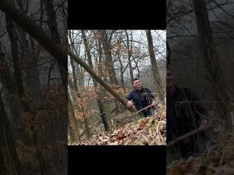 Falling trees