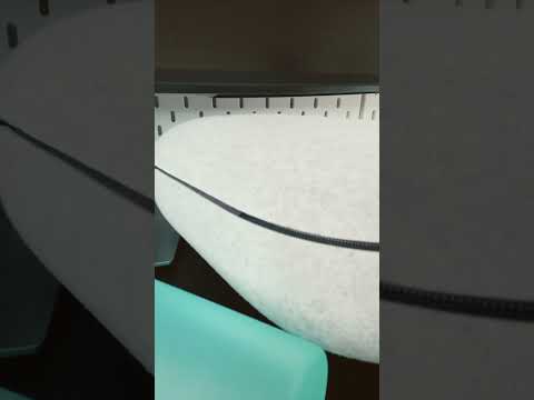 Water bottle alive