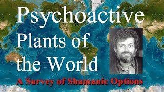 Terence McKenna: A Survey of Shamanic Options