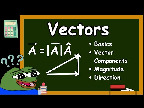 Basics of Vectors