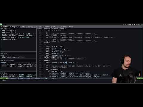 ak_slash Live Stream - [english] implement neovim charwise selection feature