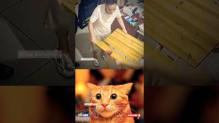 Give this video title 💀 (warning title) #cat #memes #funk #catbombastic