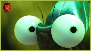 Ladybugs 🐞 Minuscule 🍃 15' Compilation