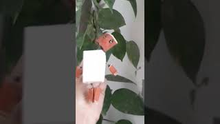 DIY robot #cutediy #roborobi #toy #craftynavya ##viralshort
