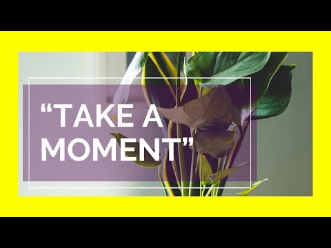 Take A Moment: Journal Sessions #2