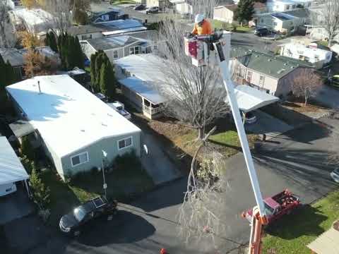 Drone Footage July "2022"