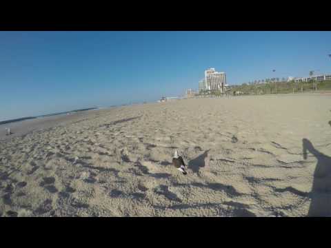 Gopro Hero 5, 4k 30FPS beach demo