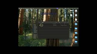 Web Design Focus1