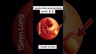 #babyusg #ultrasound #babyultrasound #pregnancyscan #pregnant #babyscan