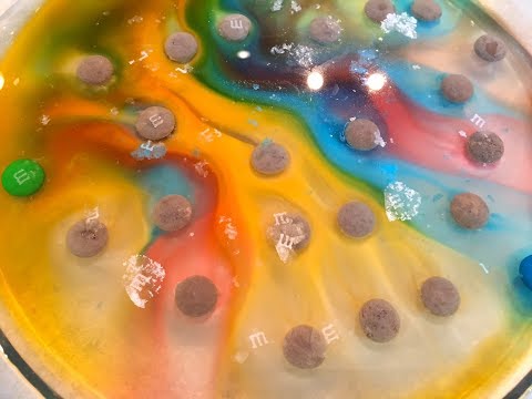 M&M's Candy Experiment:  Easy Science Experiments For Kids