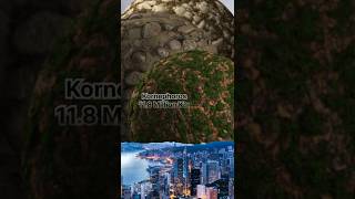 Solar System Size In Perspective | 3D Universe Size Comparison | Solar System Planets