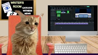 CATS EYE WITNESS NEWS - WORKING ON ONE YEAR ANNIVERARY PROMO