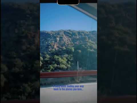 Bluebird Singing #fyp #folkmusic #foryou #originalsong