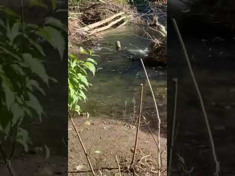 Mountain River