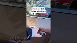Peek Inside! Subaru Outback